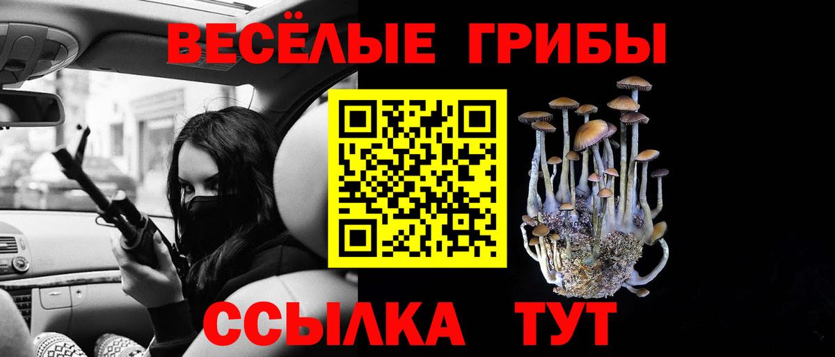 Котлас  Галлюциногенные грибы ЛСД  Вход с VPN 